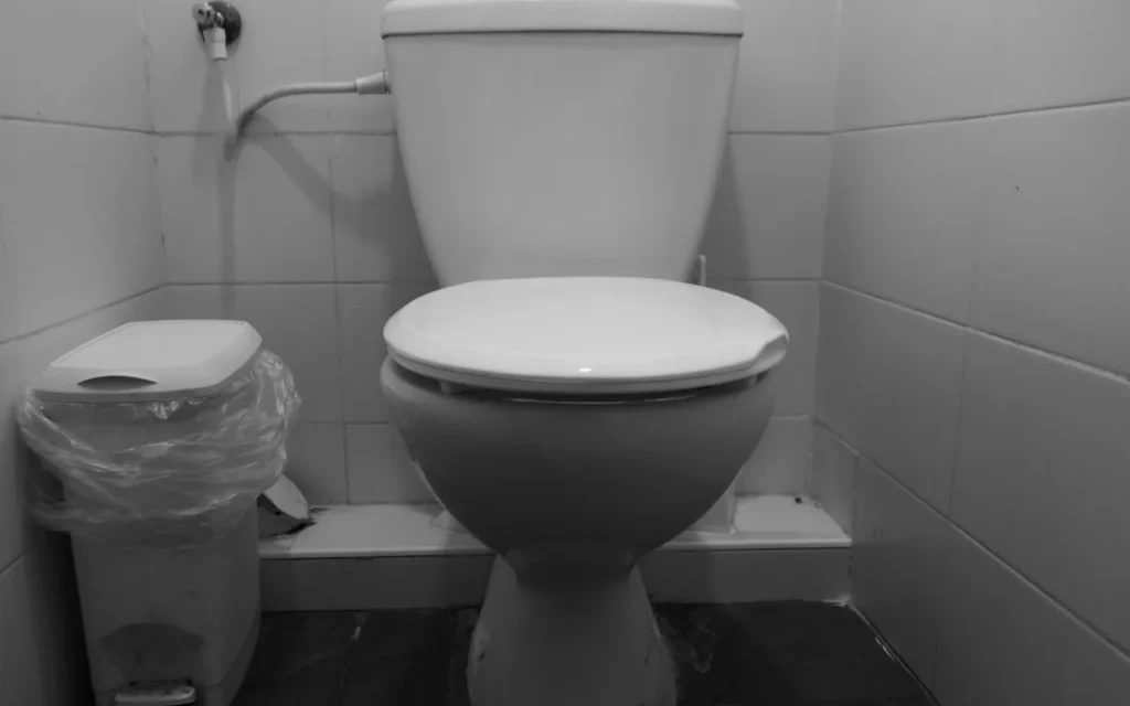 gdzie wyrzucić stary sedes